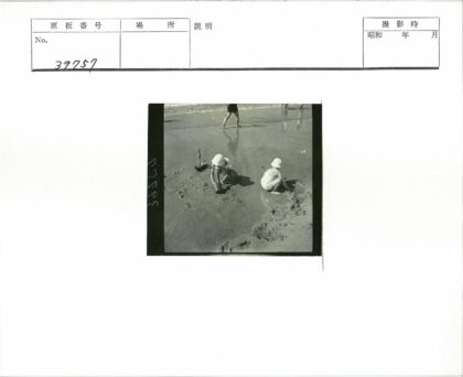海滩童趣与海岸漫步.jpg