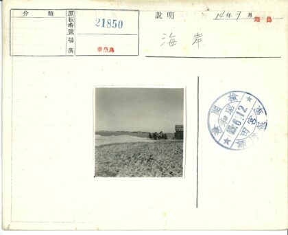海滩风光与自行车木结构.jpg