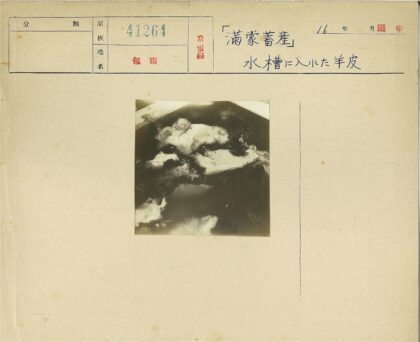 浸泡在深色液体中的皮毛碎片.jpg
