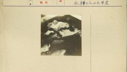浸泡在深色液体中的皮毛碎片.jpg