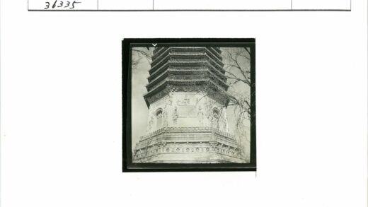 深秋古塔雕纹与枯枝特写.jpg