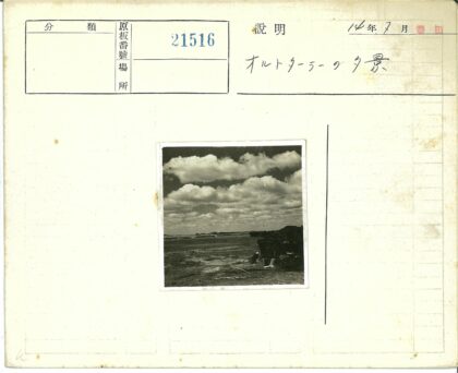 深色小屋与散落木料的开阔风景.jpg