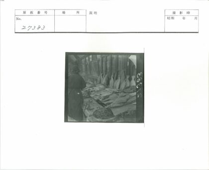 深色衣服人站在鱼干展示前.jpg