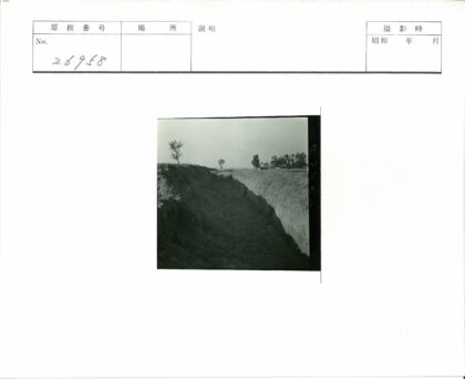 深草沟渠延伸远方树影.jpg