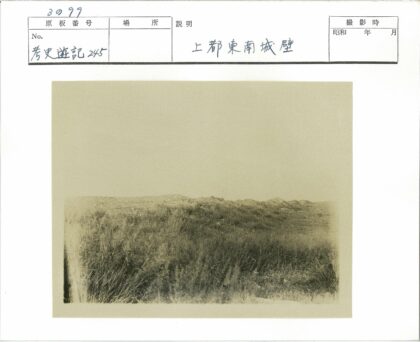 深褐色丘陵草地景观.jpg