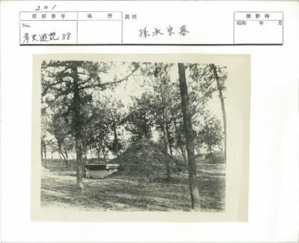 混凝土旁土堆与灌木丛.jpg
