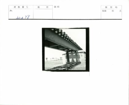 混凝土柱桥晴空树影.jpg