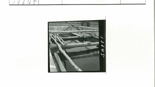 混凝土水池圆木倒影.jpg
