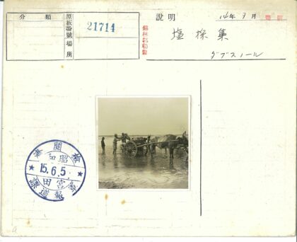 渔民浅水区推牛车劳作.jpg