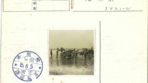 渔民浅水区推牛车劳作.jpg