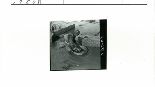 渔民浅水区采集作业现场.jpg