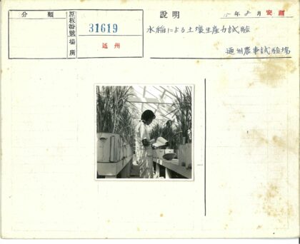温室植物观察笔记.jpg