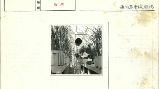 温室植物观察笔记.jpg