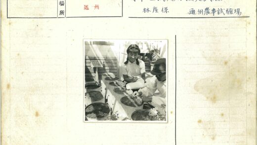 温室植物记录工作照.jpg