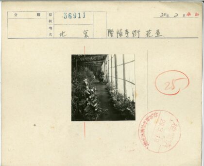 温室绿植与休闲时光.jpg