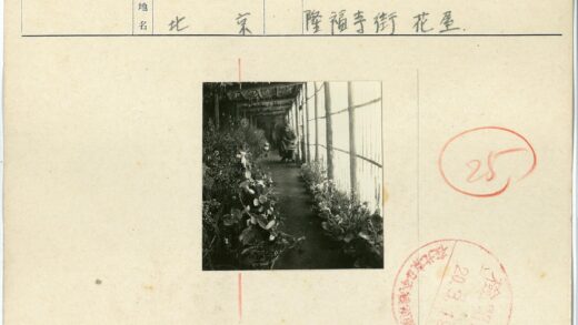 温室绿植与休闲时光.jpg
