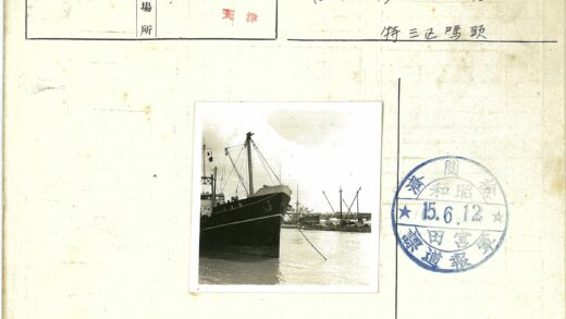 港口大船与起重机作业.jpg