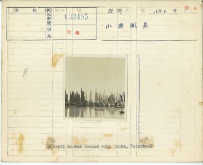 港口帆船与划艇宁静景象.jpg