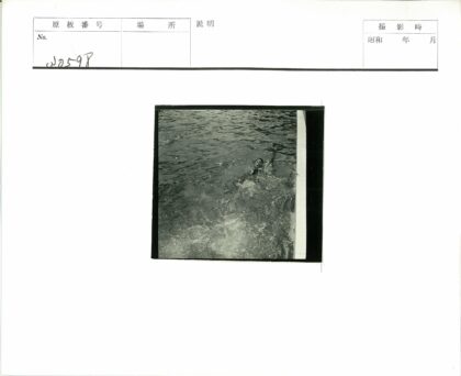 游泳者激起水花与涟漪.jpg