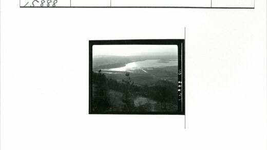 湖光山色朦胧树影.jpg