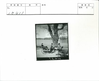 湖滨绿荫黄包车旧时光.jpg