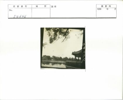 湖畔亭影与飞鸟.jpg