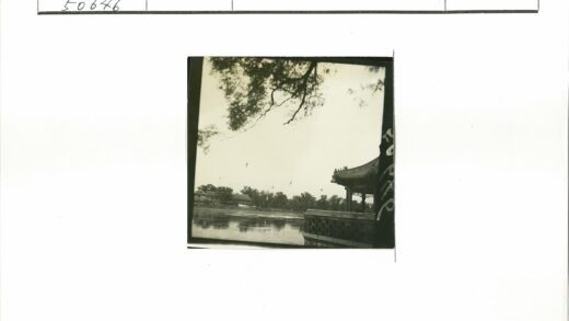 湖畔亭影与飞鸟.jpg