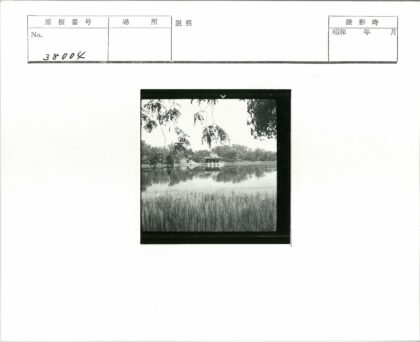 湖畔亭影芦苇风光.jpg
