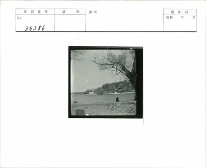 湖畔冬日枯树与古建倒影.jpg