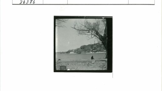 湖畔冬日枯树与古建倒影.jpg