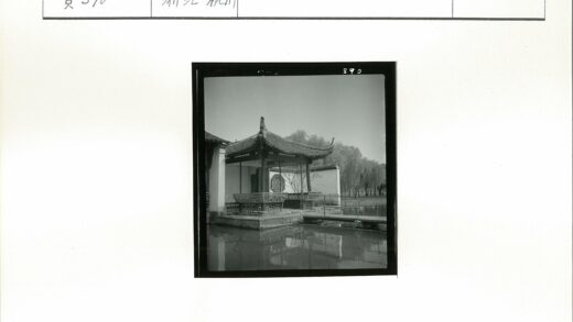 湖畔古亭与树影.jpg