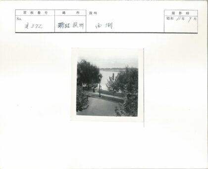 湖畔垂柳与泊船夜景.jpg
