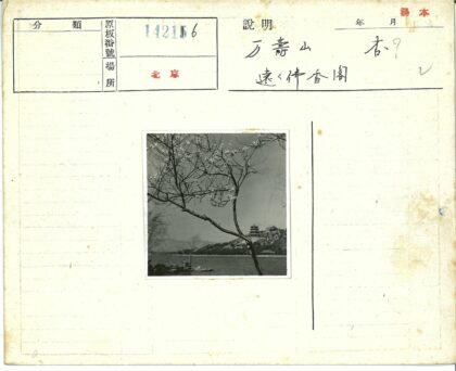湖畔宝塔与花树.jpg