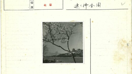 湖畔宝塔与花树.jpg