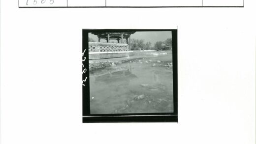 湖畔展馆冬景树木建筑.jpg