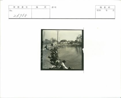 湖畔建筑与电线杆景色.jpg