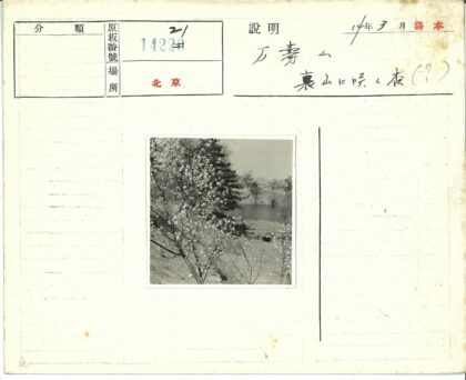 湖畔春色远山背景.jpg