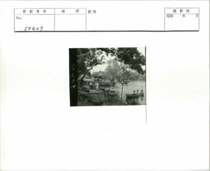 湖畔树影与亭边人群.jpg