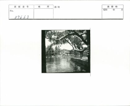 湖畔树影与古建风光.jpg