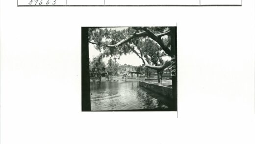 湖畔树影与古建风光.jpg