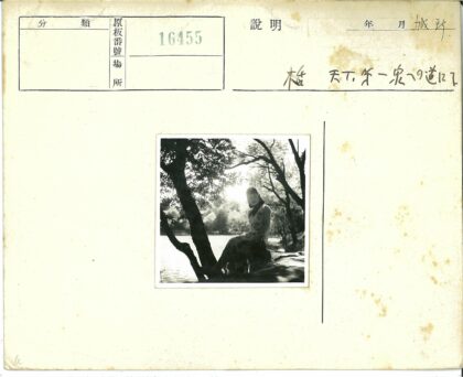 湖畔树影独坐.jpg