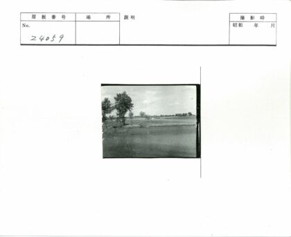 湖畔树林与田园风光.jpg