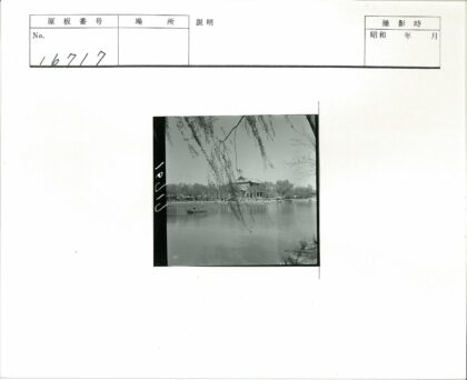 湖畔泛舟与远岸大楼.jpg