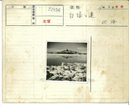 湖畔睡莲映山顶古建.jpg