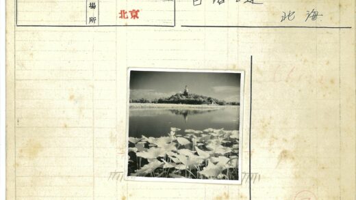 湖畔睡莲映山顶古建.jpg