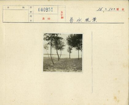 湖畔绿树落叶景.jpg