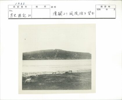 湖畔羊群与石山风光.jpg