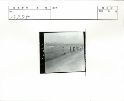 湖边垂钓与田野风光.jpg