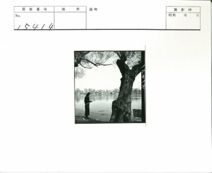 湖边垂钓树影间.jpg