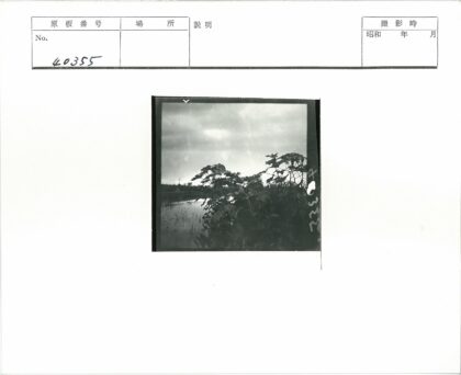 湖边密林多云天空倒影.jpg